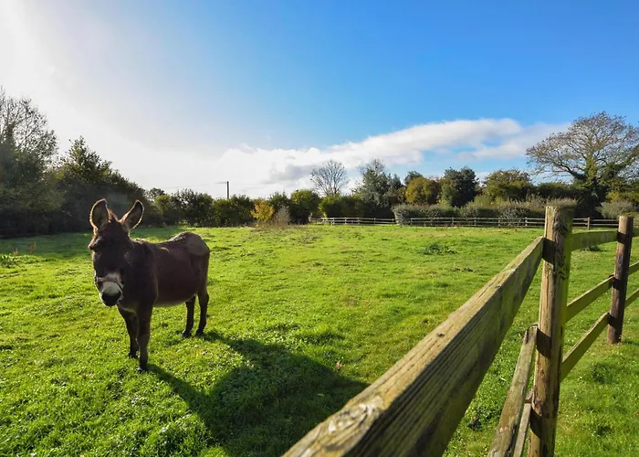 Confortable Maison Normande *